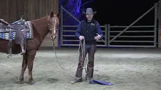 Horse Nature vs Human Nature: This Is Where We Get It Wrong