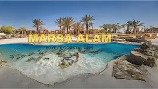 Discover Marsa Alam Red Sea's Hidden Treasures & Natural Wonders🌊🐬Adventure Along Egypt's Coastline