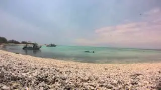 One tree island: Time lapse