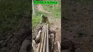paseo por la finca #adventure