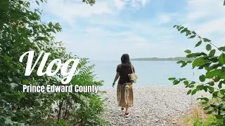 Vlog73 A Day in Prince Edward County|Lavender Farm, Ice Cream, Little Bluff &Lakes on the Mountain