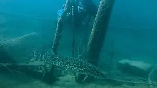 Diving in flooded quarry