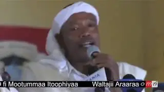 OMN:Waltajjii Araaraa ABO fi Mootummaa Yuuniversiitii Ambootti (Amajji 24, 2019)
