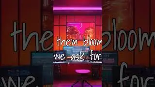 Halal Nasheed By Nashidify Studioz #halalmusic #relaxingsounds #memes #lofi