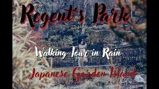 Must visit London Park | Regent's Park | Secret Japanese Garden Island | Nature soothing sound