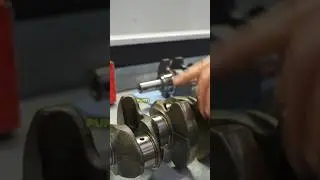 PERCH&Eacute; SOSTITUIRE L&rsquo; ALBERO MOTORE?