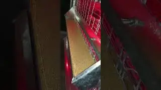 Primeros pollos usando la criadora huacuja 