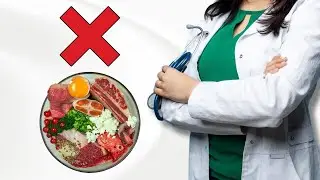 Why Vets Hate Raw Pet Food (The Truth)
