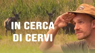 IN CERCA DI CERVI   - Esplorando il Pian di Spagna