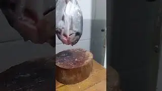 سمك دوراد مشوي