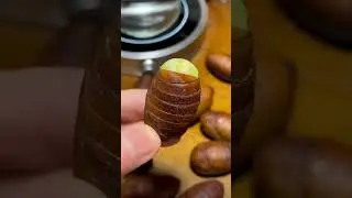 How To Feed a Hamster ! #food  #hamsterfood  #silkworm
