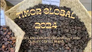 Timor Global