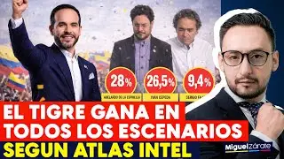Согласно данным Atlas Intel, Тайгер Абелардо выигрывает во всех сценариях.