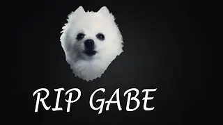 THE RIP GABE SONG