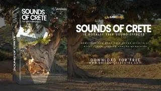 Free Wildlife Sound Effects | Nature Sound Effects