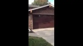 CHI Planks Garage Doors