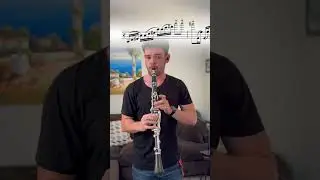 Beethoven Challenge! #clarinettist #clarinet #musician #clarinetplayer #beethoven