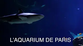 L'Aquarium de Paris en image