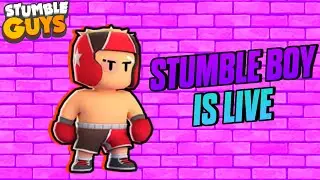 Stumble Boy Is Live || I Am The Best Player In Stumble Guys 🔥