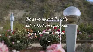 Rose Days 2021