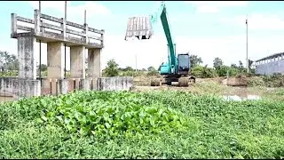 Very clogged! Need help from an excavator to remove all the floating plants blocking the water gate
