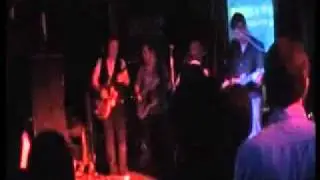 Devil Stone Blues Band - Bridge to Better Days