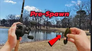 Bass FISHING on a GOLF COURSE | Pre-Spawn Action!