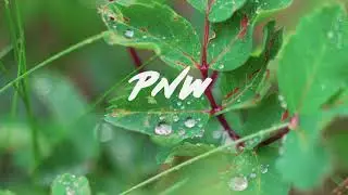 The PNW - Fall 2021 is here!