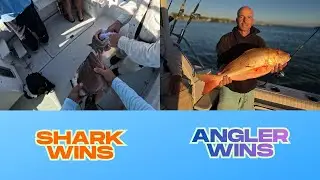 Grouper Fishing 