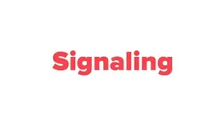 Signalling Theories of Advertising