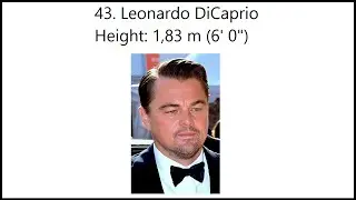 Height comparison of hollywood actors | Shortest to tallest actors