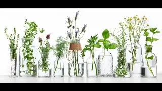 SGEM431: Consumers preference for natural vs synthetic medicines