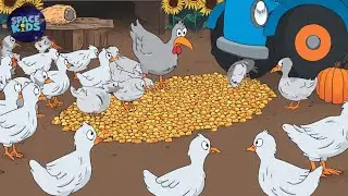 As Galinhas e os Pintinhos 🎶 - (M&uacute;sica Infantil) Prod: SPACEKIDS