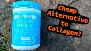 Cheap Alternative to Collagen?