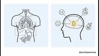 How Your Brain Works | Simple Explanation of the Human Brain in Hindi 