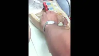 Anatomy of the Male Reproductive System (model)