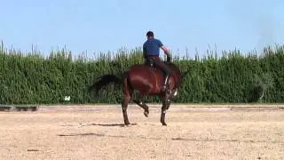 Mena Batuta4