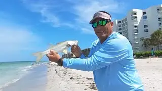 Flyfishing for snook in Sarasota with Nick DiBlasio&hellip;and possible permit&hellip;..
