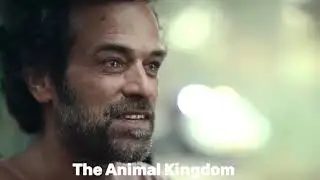 The Animal Kingdom (2023) Film Explained in English | Shorts Movie Recaps