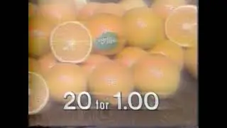 Winn Dixie Grocery Store 1977 Commercial