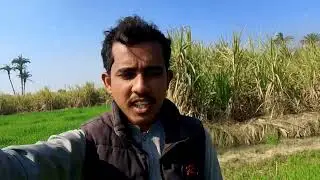 Do tube well ak sath chalye #viral #viralvideo #vlog #subscribe #minivlog #farming 