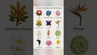 10 Most Beautiful Flowers Name You Need To Know In English #Flowers #English #Words #EnglishWords