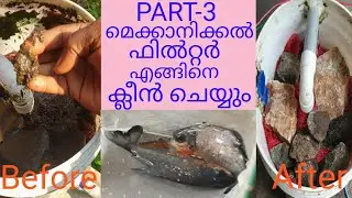 Low cost | fish tank cleaning | aquaponic system filter | malayalam | jinson world jinson varghese