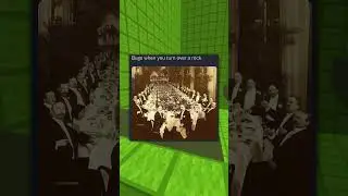 53 секунды мемов