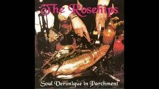 The Rosehips - It's Not Worth Fighting