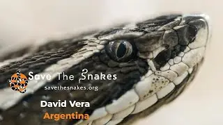 Tracking the Urutu: Snake Ecology and Conflict Reduction