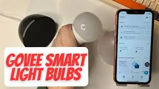 How To Set Up Govee Smart Light Bulbs with Alexa