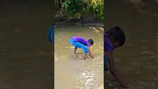 Amazing attempt at catching fish with your hands