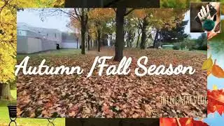 Autumn Colours 🍂  Fall Season ,walking and roadtrip #autumn #autumntravel