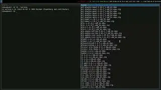 How to Downgrade package with cache file on Void Linux